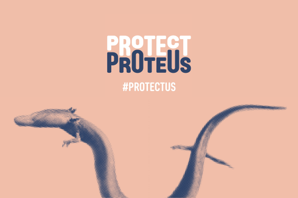 Izdelek brez naslova 26