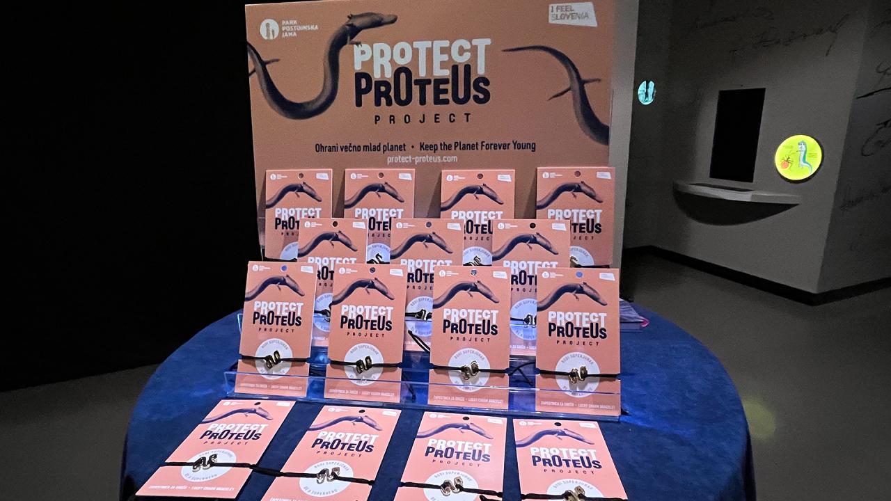 10 Everyone who decides to support the Protect Proteus Project is a superhero
