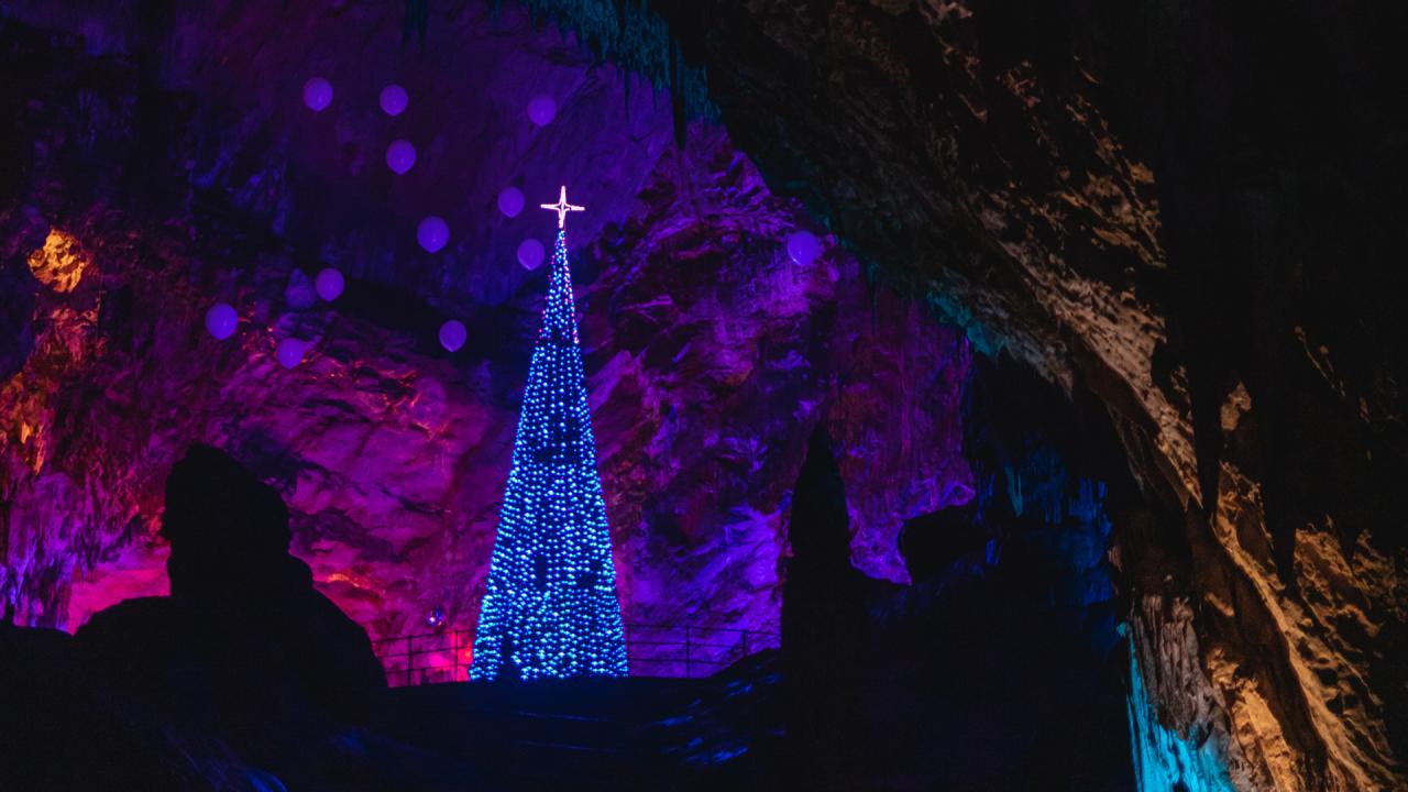 03 Advent v Postojnski jami. Foto Ziga Intihar