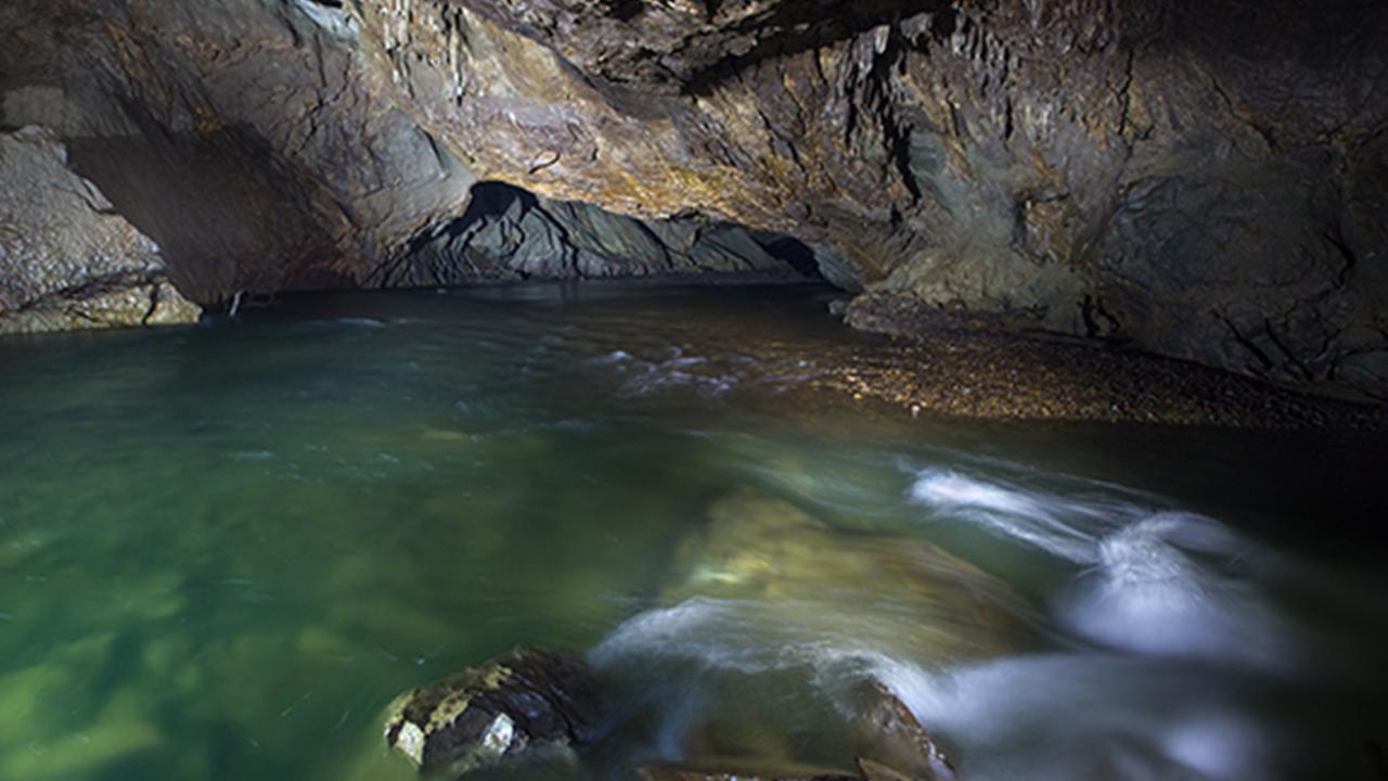 05-the-subterranean-river-pivka-home-to-olms-photo-source-postojnska-jama.jpg